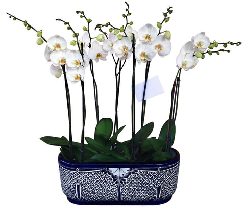 Arreglo floral blanco elegante de talavera