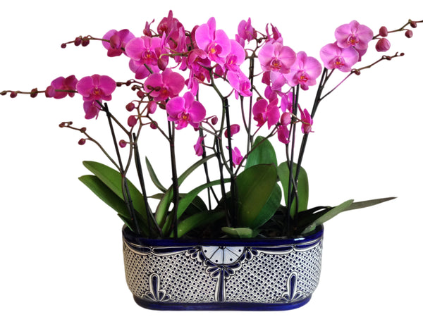 Arreglo de orquídea rosa de talavera