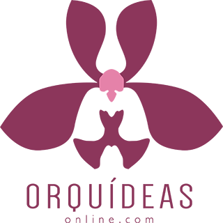 Orquideas Online